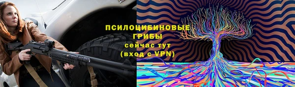 МДПВ Алзамай